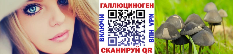 Псилоцибиновые грибы мухоморы  Избербаш 